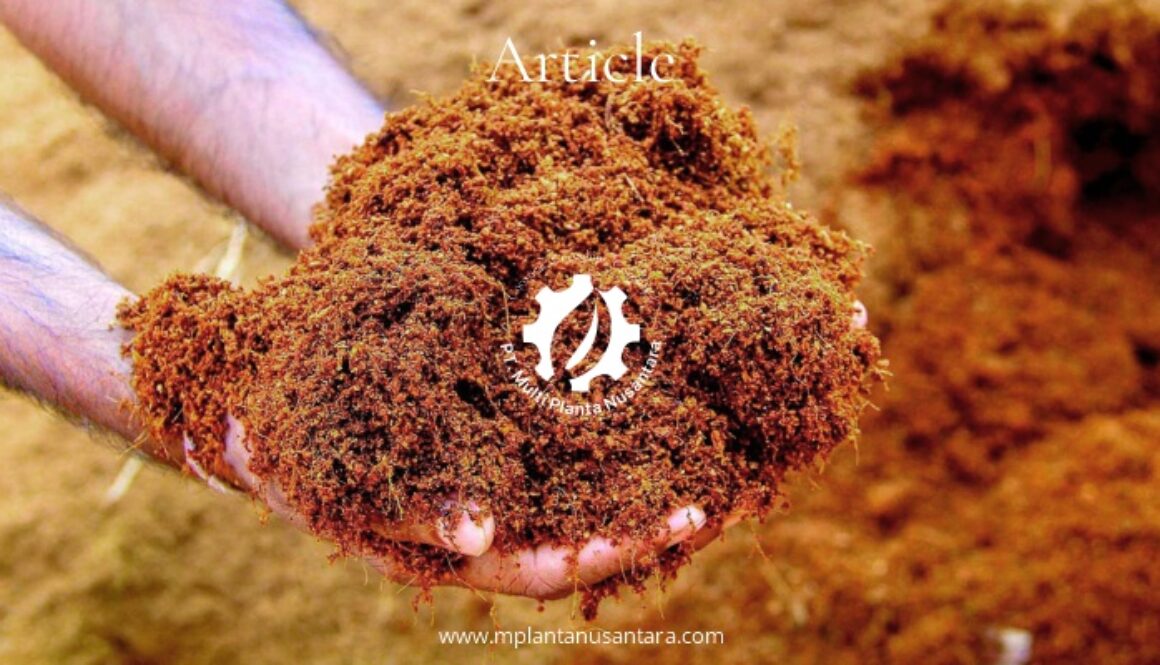 Cocopeat, Cocochips & Cocofiber - Understanding the Benefits of Coconut-Based Growing Media