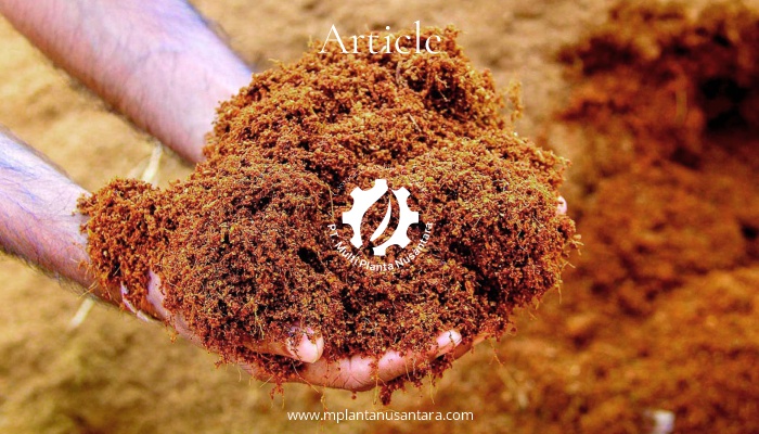 Cocopeat, Cocochips & Cocofiber - Understanding the Benefits of Coconut-Based Growing Media